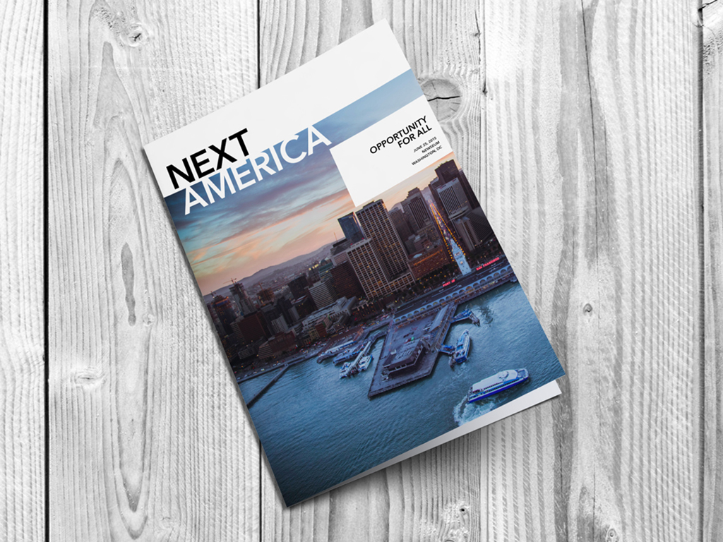 The Next America brochure